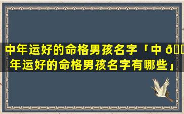 中年运好的命格男孩名字「中 🌸 年运好的命格男孩名字有哪些」